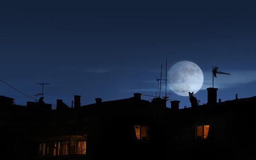 silhouette of cat on the roof at night with full moon