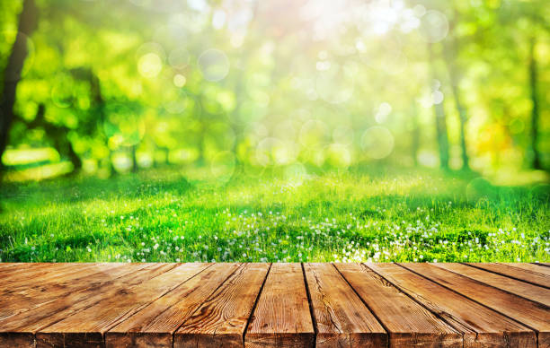 Wooden table and spring forest background stock photo