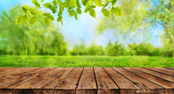 old wooden table and spring park background stock photo