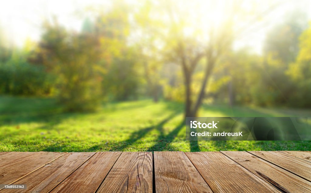 Wooden table and spring forest background Table Stock Photo
