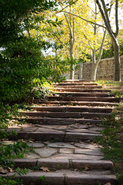 istock Stone staircase in a green park surrounded by beautiful plants 1368554914