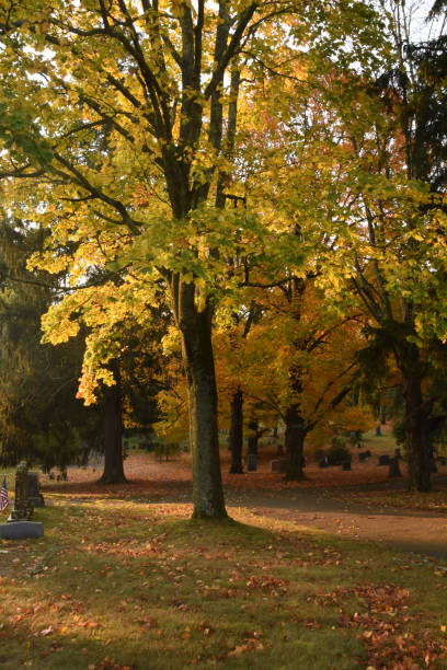 istock Colorful Fall Foliage in a Cemetery in New England 1368559044