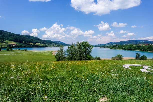 irrsee or zeller see in salzkammergut in austria - áustria alta imagens e fotografias de stock