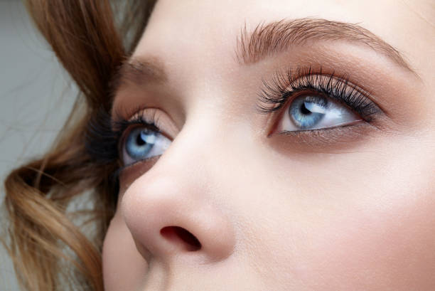 closeup macro shot de olhos femininos humanos azuis. mulher com maquiagem natural de beleza facial. - nariz - fotografias e filmes do acervo