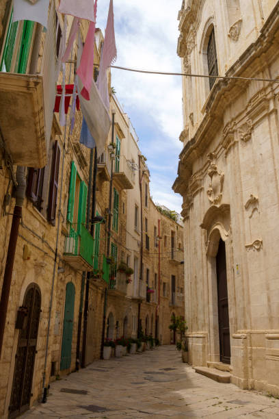 istock Molfetta, historic city  in Apulia 1368562679