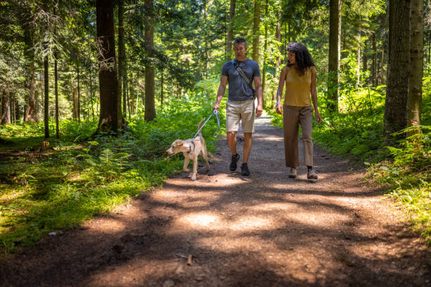 istock Mature couple walking on dirt track in forest 1368564989