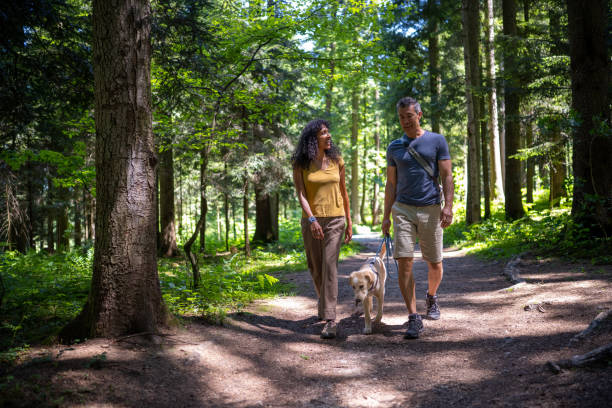 istock Mature couple walking on dirt track in forest 1368565001