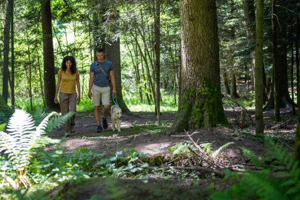 istock Smiling mature couple walking on dirt track in forest 1368565012