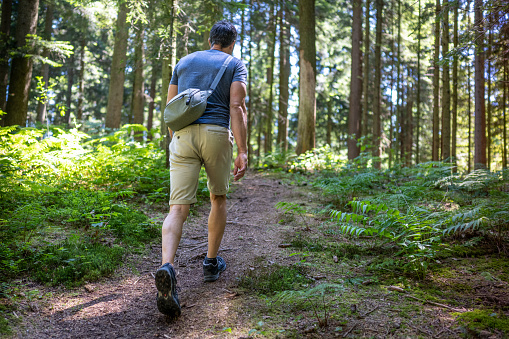 Rear view of mature man walking on dirt track passing through forest.
