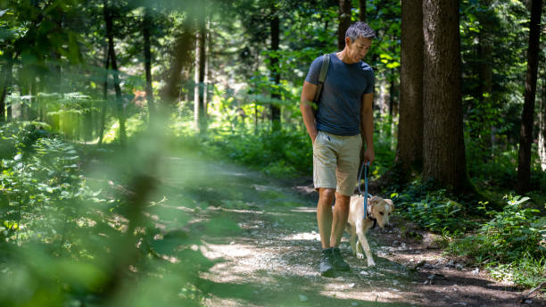istock Mature man walking in forest with his pet dog 1368565040