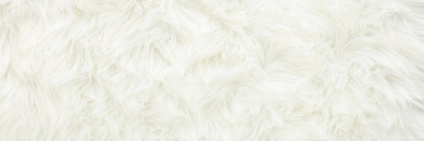 istock Light white fur background. Empty place for text. Wide banner. Top down view. 1368566493