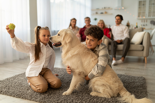 Cute children playing with their golden retriever on floor at home, their relatives sitting on couch on background. Adorable kids having fun with pet dog during family gathering, indoors