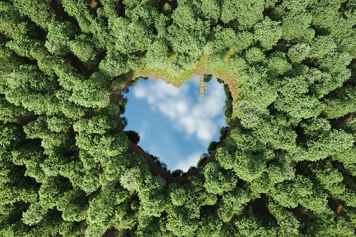 top view of a forest with a heart-shaped lake and pier with boat. 3d rendering