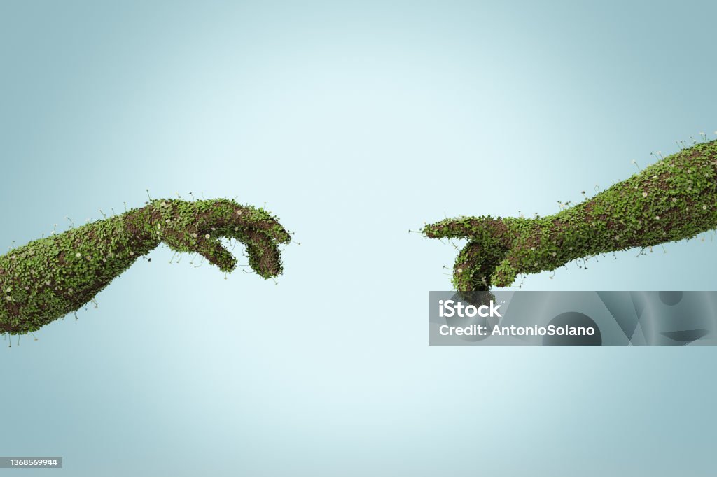 posed hands of adam's creation full of flowers posed hands of adam's creation full of flowers and vegetation. 3d rendering Sustainable Resources Stock Photo