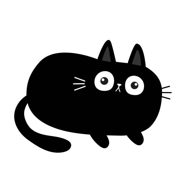 1,682 Fat Black Cat Stock Photos, Pictures & Royalty-Free Images - iStock