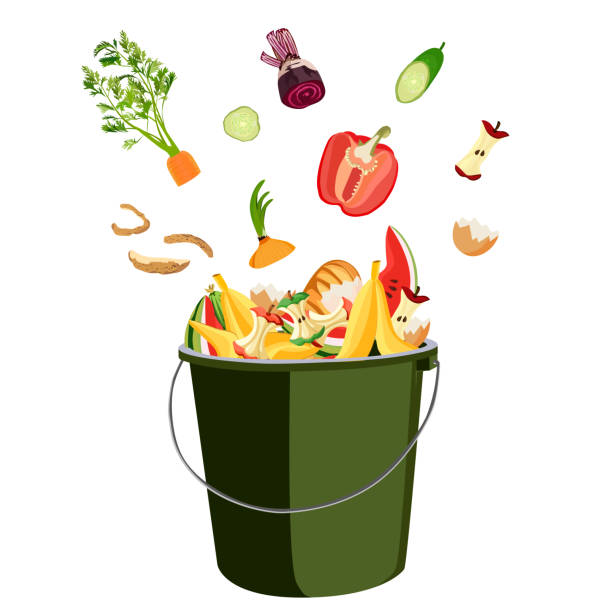 illustrazioni stock, clip art, cartoni animati e icone di tendenza di cestino per il compostaggio con avanzi dalla cucina. rifiuti alimentari in cucina. zero rifiuti. illustrazione vettoriale. - discarica di rifiuti
