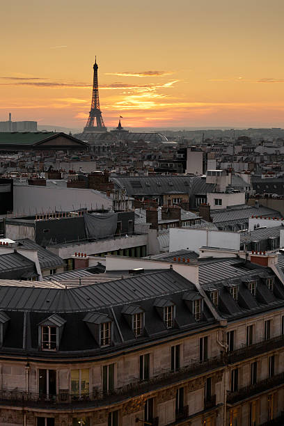 istock Eiffel tower and roofs of Paris 136857699