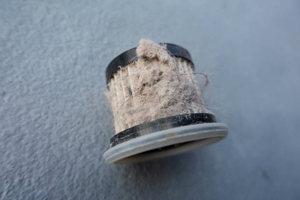 Vacuum cleaner filter clogged up with household dust, mite, hair, and animal fur stock photo