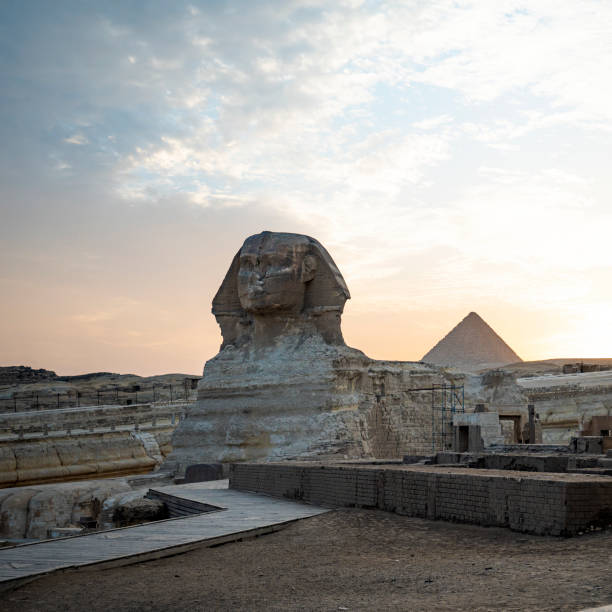 sphinx in giza pyramid complex at sunset - sphinx night pyramid cairo imagens e fotografias de stock