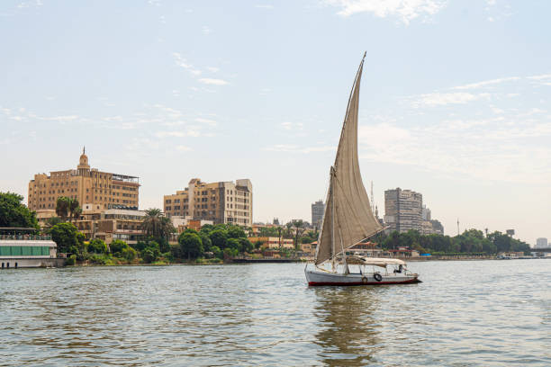 segelboot auf einem flussspaziergang segelt entlang des nils im zentrum von kairo zwischen den wolkenkratzern und attraktionen. - felucca boat stock-fotos und bilder