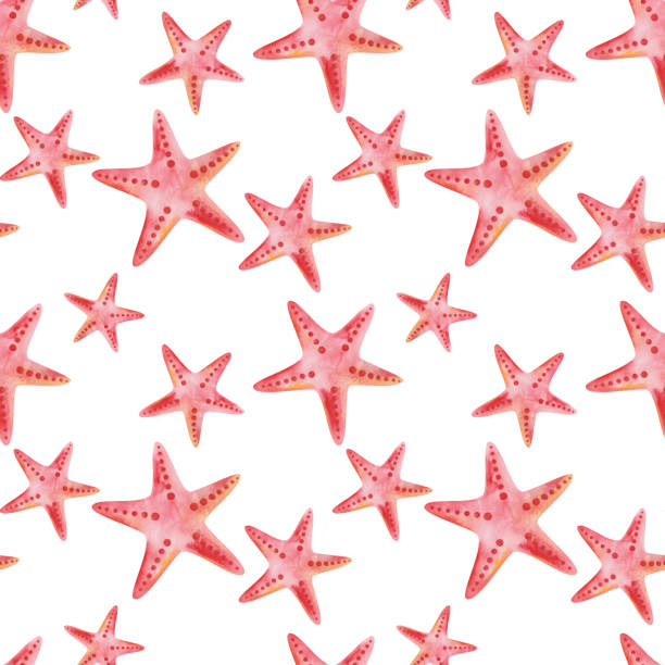 istock Watercolor seamless pattern from hand painted illustration of red five finger starfish, ocean animal, sea creature. Print with seastars on white background 1368587169