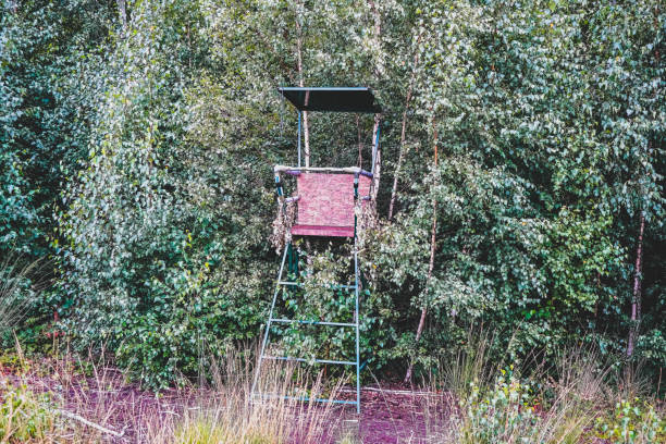 A hunt sits high at the edge of the forest.