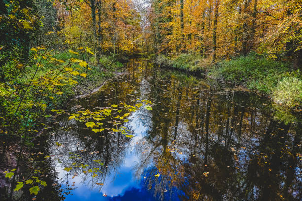 istock A lake in a forest in autumn. 1368590912