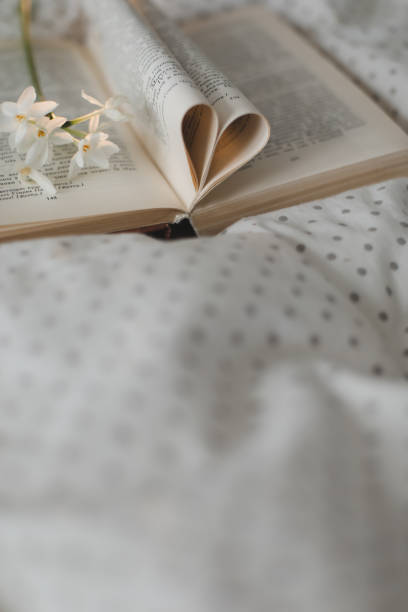 istock Book with pages folded into a heart shape. valentine's festive background with bokeh. 1368593731
