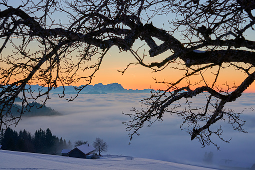 sunset in the snowy Bregenzer Wald area of Vorarlberg, Austria with spectacular view on Mount Saentis in switzerland above a sea of fog, taken in Sulzberg, Austria, landscape