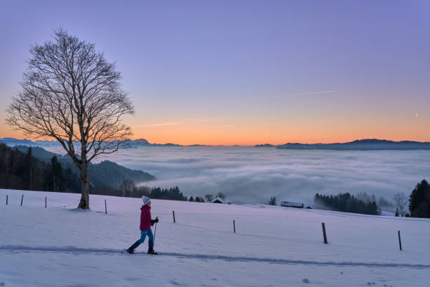 schneeschuhwandernde frau bei sonnenuntergang im bregenzer wald, österreich - snowshoeing snowshoe women shoe stock-fotos und bilder