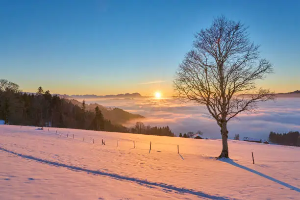 sunset in the snowy Bregenzer Wald area of Vorarlberg, Austria with spectacular view on Mount Saentis in switzerland above a sea of fog, taken in Sulzberg, Austria, landscape