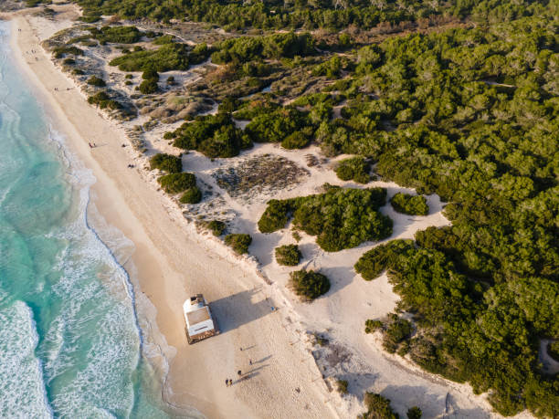 Es Trenc Beach in Majorca (Belaric Islands - Spain)