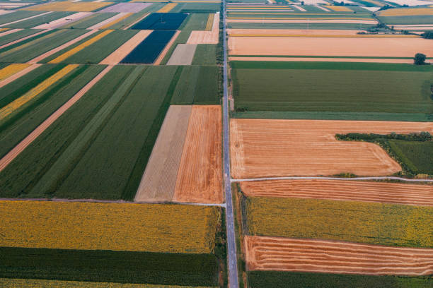 istock Drone view of agriculture field 1368596638