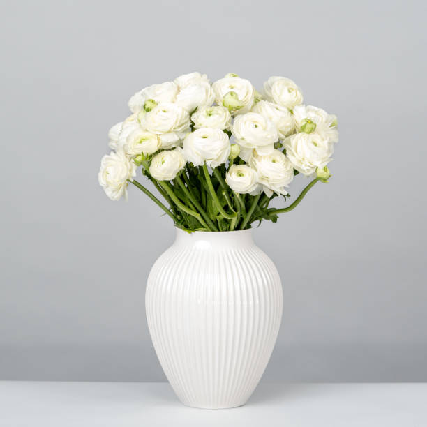istock White ranunculus flowers in white vase 1368598488