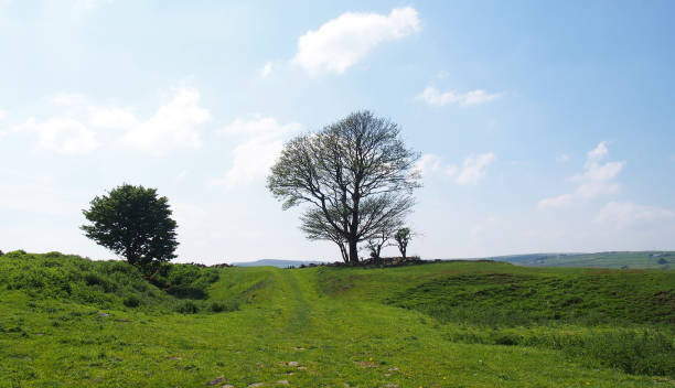 istock spring trees in a high grass covered meadow looking over the calder valley and midgley moor in west yorkshire 1368602044
