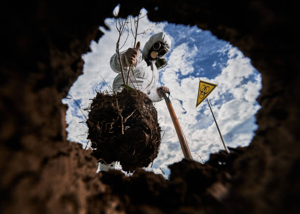 istock Ecologist digging pit by shovel and planting tree in polluted area. 1368603332