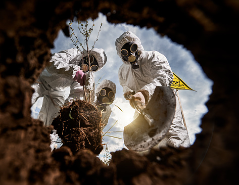 Group of three volunteers in white overalls and gas masks planting tree in dangerous area to improve the local ecosystem. Totenkopf warning sign and cloudy sky on background. View from inside pit.