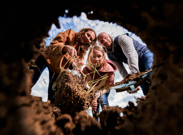 Low view of smiling family looking at hole for planting tree seedling. Happy family planting tree sapling all together. Two adults, holding sapling and shovel, and school-age girl with joyful expression looking into dug hole for planting tree. View from inside pit. burying stock pictures, royalty-free photos & images
