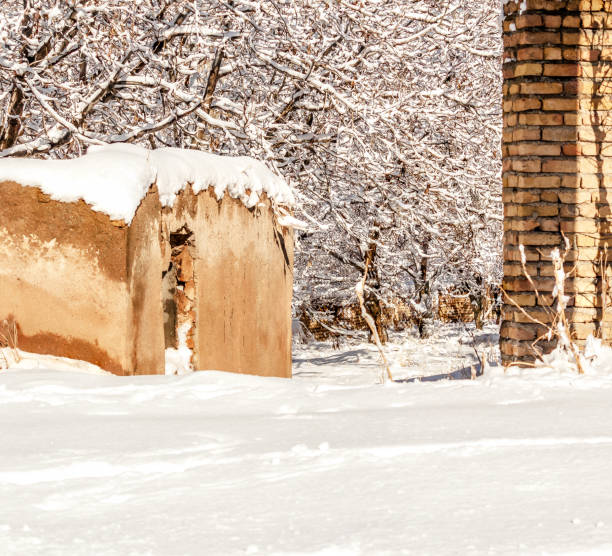 istock snow-covered path in the village with short walls and tree branches 1368603967