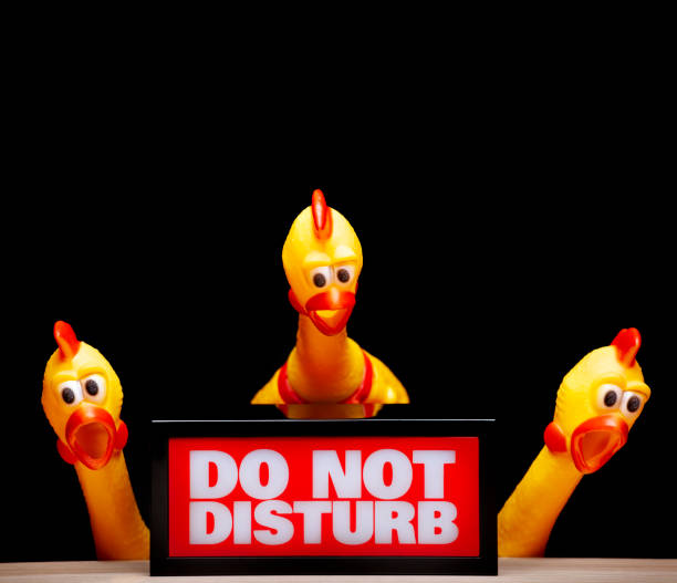 image of do not disturb text rubber chicken dark background