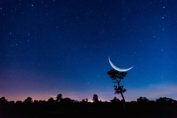the moon in the blue night sky.