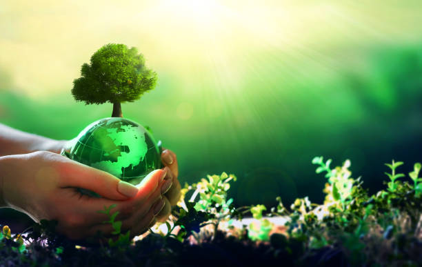 istock Hands holding crystal earth globe and growing tree.Earth Day and Arbor day concept. Environment, save clean planet, ecology. 1368604593