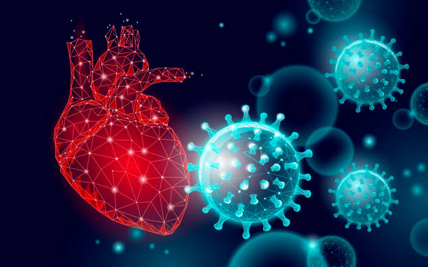 istock Heart disease associated with coronavirus stats. Infection pneumonia hazard outbreak. 3D point low poly. Heart break vascular blood system. Against virus epidemic vector illustration 1368605859