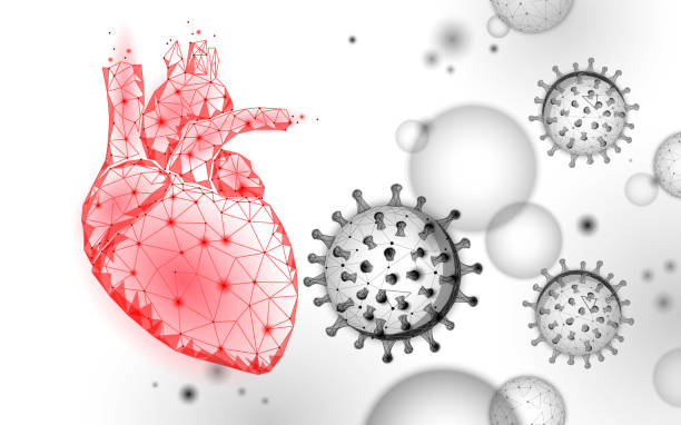 istock Heart disease associated with coronavirus stats. Infection pneumonia hazard outbreak. 3D point low poly. Heart break vascular blood system. Against virus epidemic vector illustration 1368605880