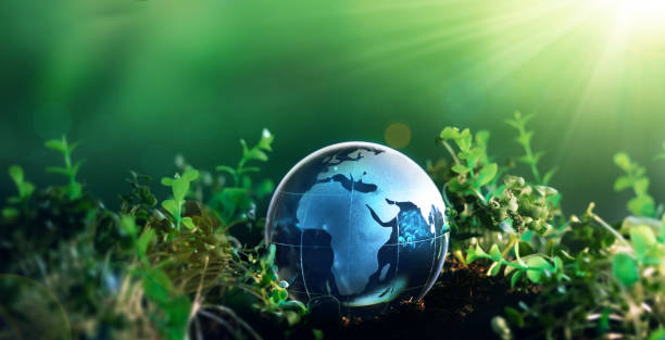 istock Environment day, save clean planet, ecology concept. Earth Day.Crystal earth globe on 
sunny background. 1368606998