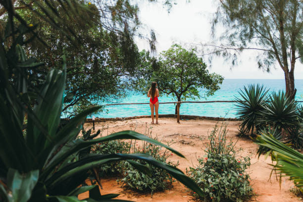 Female traveler enjoying a view of the turquoise ocean on Zanzibar island, Tanzania stock photo