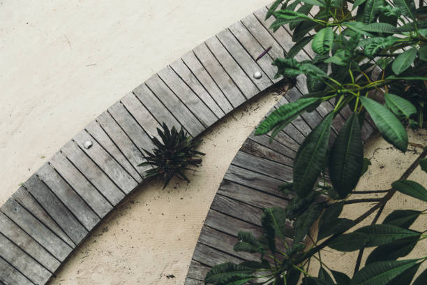 vista aérea da ponte de madeira da praia com plantas tropicais na ilha de zanzibar, tanzânia - plank boardwalk pontoon bridge summer - fotografias e filmes do acervo