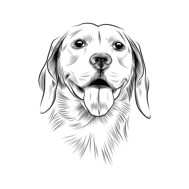 портрет собаки, нарисованный от руки - mixed breed dog illustrations stock illustrations