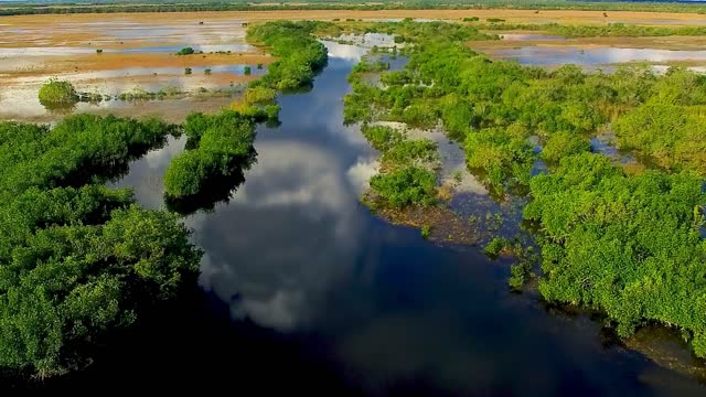 Aerial view of Everglades National Park at sunset, Florida. Swamps and vegetation