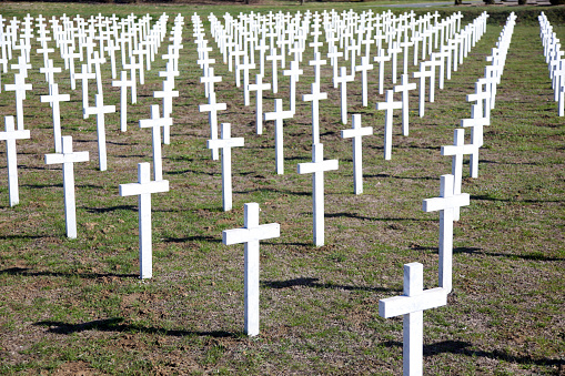 Military cemetery in Vukovar, Croatia.